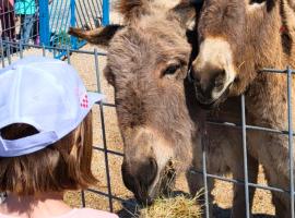 Villa Suzi - Family Farm Stay with Donkeys, Pool and Sea View near Rijeka, hotel en Šmrika