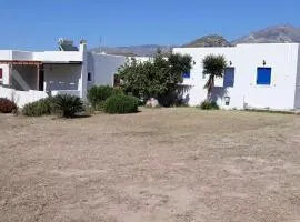 Terra Naxos