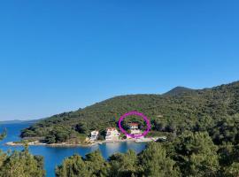 Captain Ante's House, hotel di Dragove