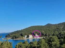 Captain Ante's House