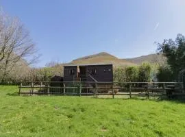 Bills Shepherds Hut