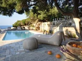 Executive Paros Villa 5 Bedrooms Villa Beachfront Supreme Beachfront Sea