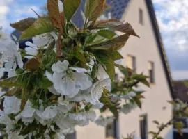 3 Zimmer Oase für Familien und Business