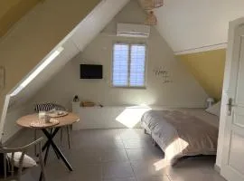 Studio au cœur des Châteaux de la Loire