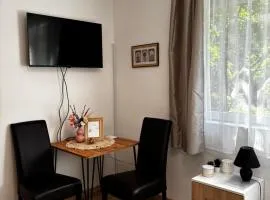 Studio Apartman M&S Apatin