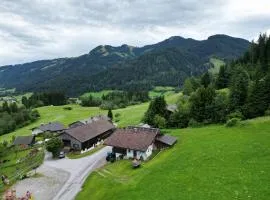 ZuHaus Gruab - Dog Friendly Tyrolean Apartment with fireplace Wildshönau Premiumcard