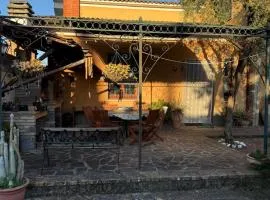 L'Ulivo