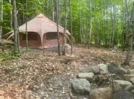 Forest Yurt