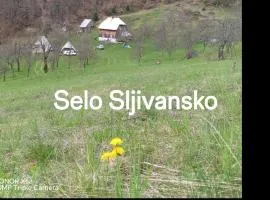 Selo Šljivansko