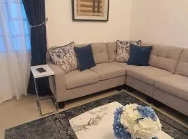 Luxurious Baushar Apartment