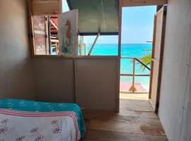 Playa Tortuga Carey