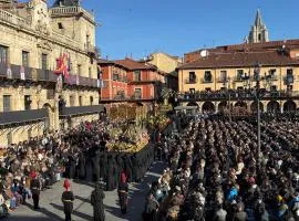 Arquitecto de la Vida I - Plaza Mayor