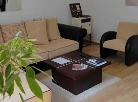 Anna apartman - balkon i besplatan parking