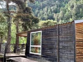 Mobil-home convivial, animaux acceptés - 4 pers. - API-1-52-2743