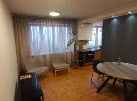 Old Town Apartment