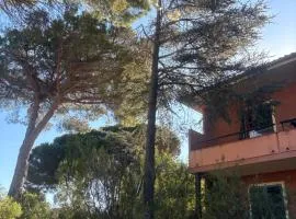 Casavacanze Zeus