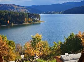 Moon Lake Bicaz - Casa Imero, отель в городе Buhalniţa