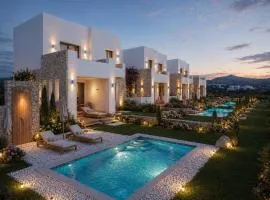 Naxian Spirit Plaka Luxury Villas