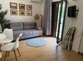 Rafailovici B