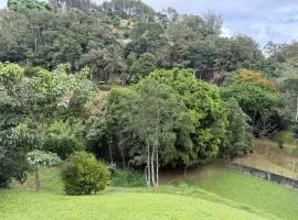 Sitio vale das araucarias