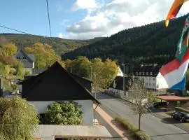 Panoramablick