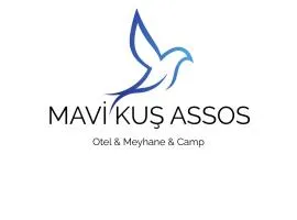 Mavi Kuş