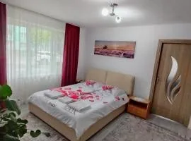 Nicoleta Apartment