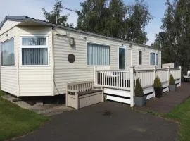 Silver Birch - Uk3341