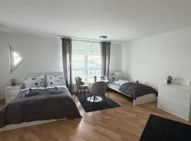 Gemütliche Ferienwohnung in Sigmaringen
