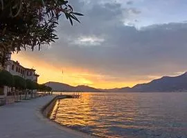 La tana del geco