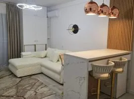 Apartament DeLux Spa Caciulata