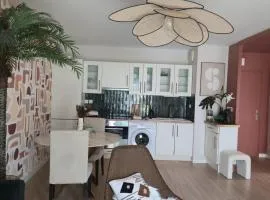 Beautiful cocooning appartement