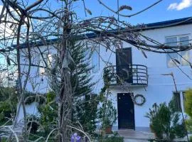 NOVEL HOUSE