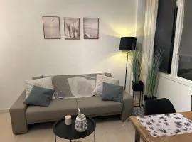 Ohana - Appartement à 1km de la plage avec parking gratuit , balcon,tennis et parc enfant