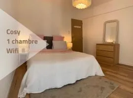 Ourmes 1 Apartment