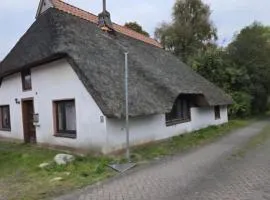FeWo David & Marion, 7 min Karls Erlebnisdorf, Bremerhaven, Weserstrand, großer Garten