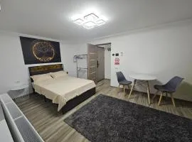 Casa Darius