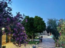 Gite d étape Khettara Oasis