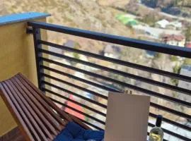 Panorama Apartment