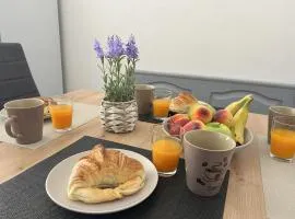 Appartement cosy 70m2 Vue château 6 pers Nature & calme Vosges