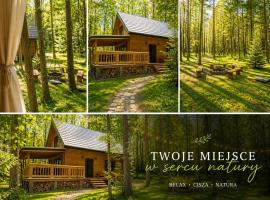 W Sam Las Komfortowy domek na skraju lasu z gorącą balia – hotel w mieście Orzyny