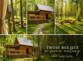 W Sam Las Komfortowy domek na skraju lasu z gorącą balia