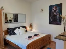 Studio Apartman DORA