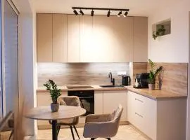 Apartment Trencin - modern apartment with free parking