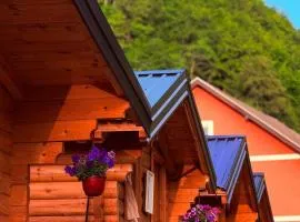 Dedushi Guesthouse &Wood cabins-Camping place