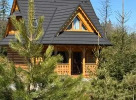 Luxury chalet WRÓBLOWA CHAŁUPKA przy Dolinie Chochołowskiej