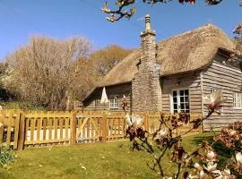 Music Room - traditional Purbeck Thatch Cottage