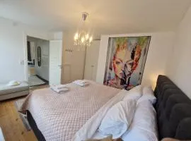 Central City Apartment