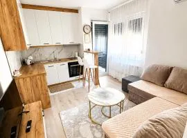 "INKOGNITO Centar" Apartman