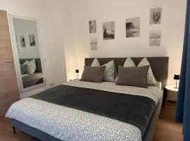 Ferienwohnung Traunsee